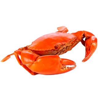 Магазин рыбы и морепродуктов ChefLobster